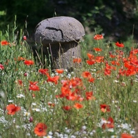 Photo de france - Béziers